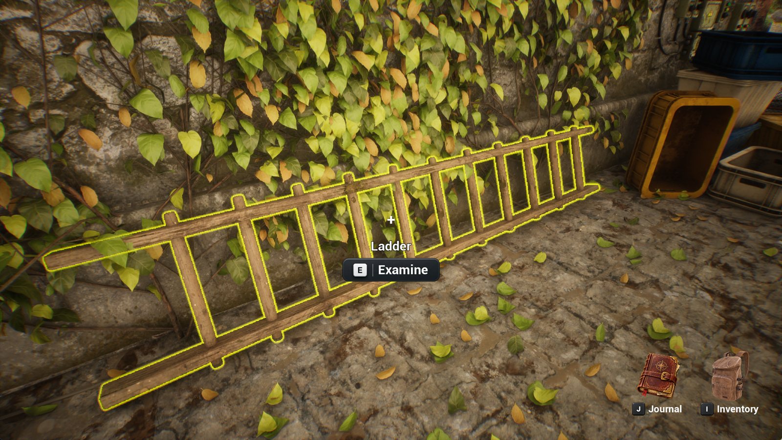 A ladder against an ivy-covered wall